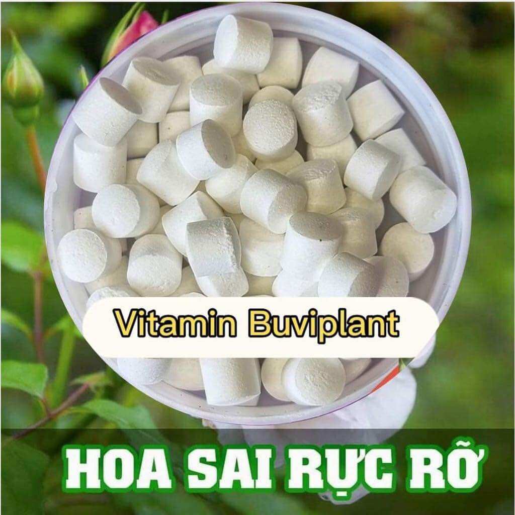 Vitamin buViplant dinh dưỡng cho cây hộp 200 viên