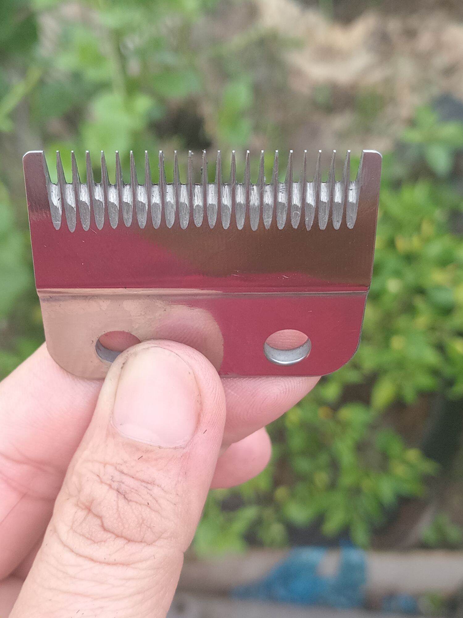 lưỡi kép đã mài chuốt