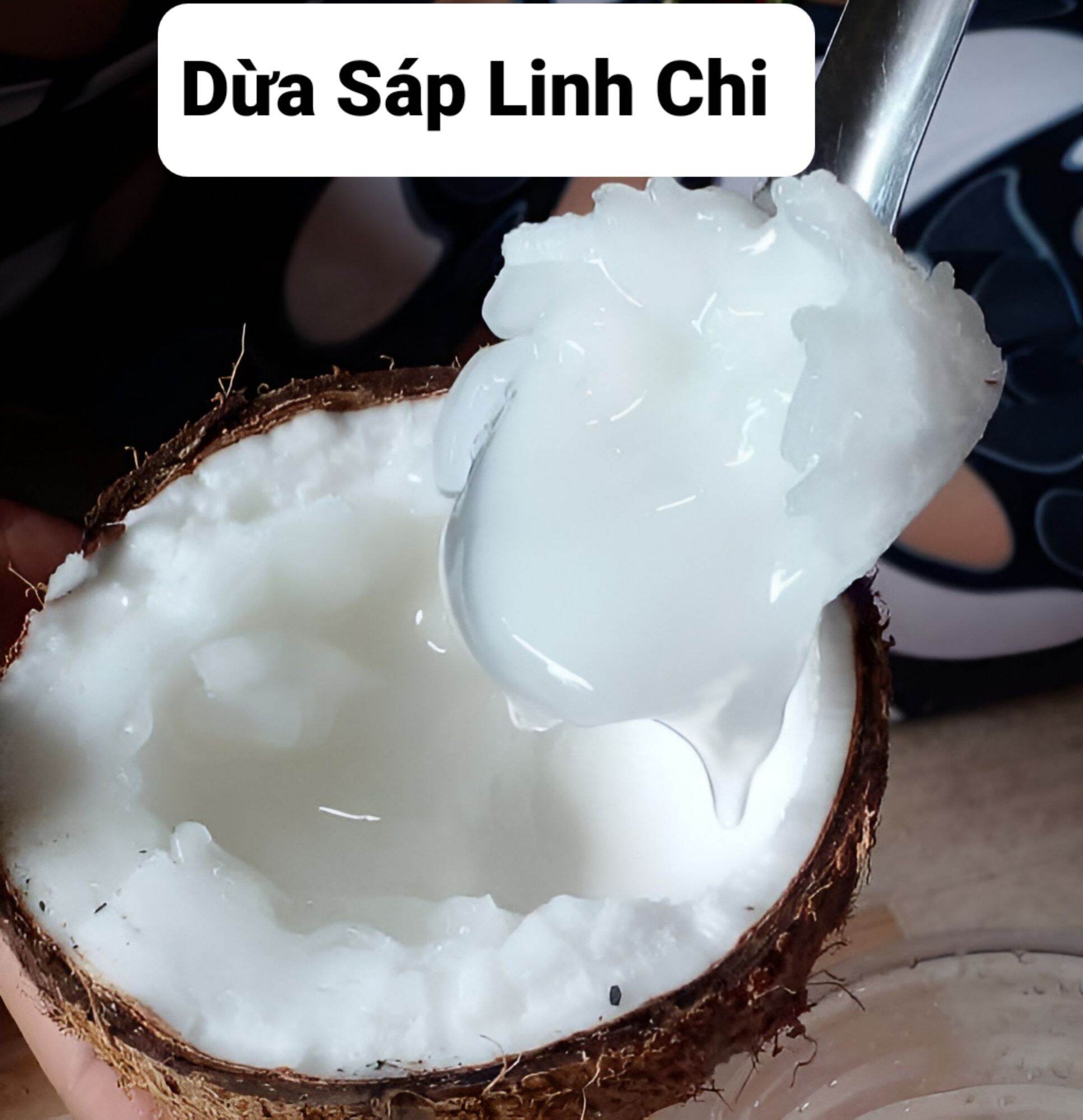 (Nhập RS0822 giảm 30k cho đơn 99k) Dừa Sáp Loại 1 Mini Đặc Ruột