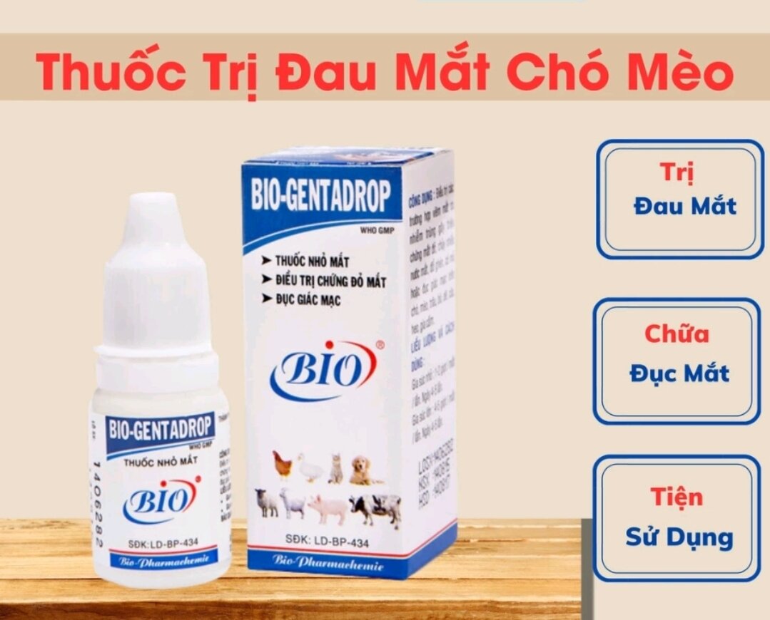 Nước nhỏ mắt cho chó mèo Bio - Gentadrop 10ml