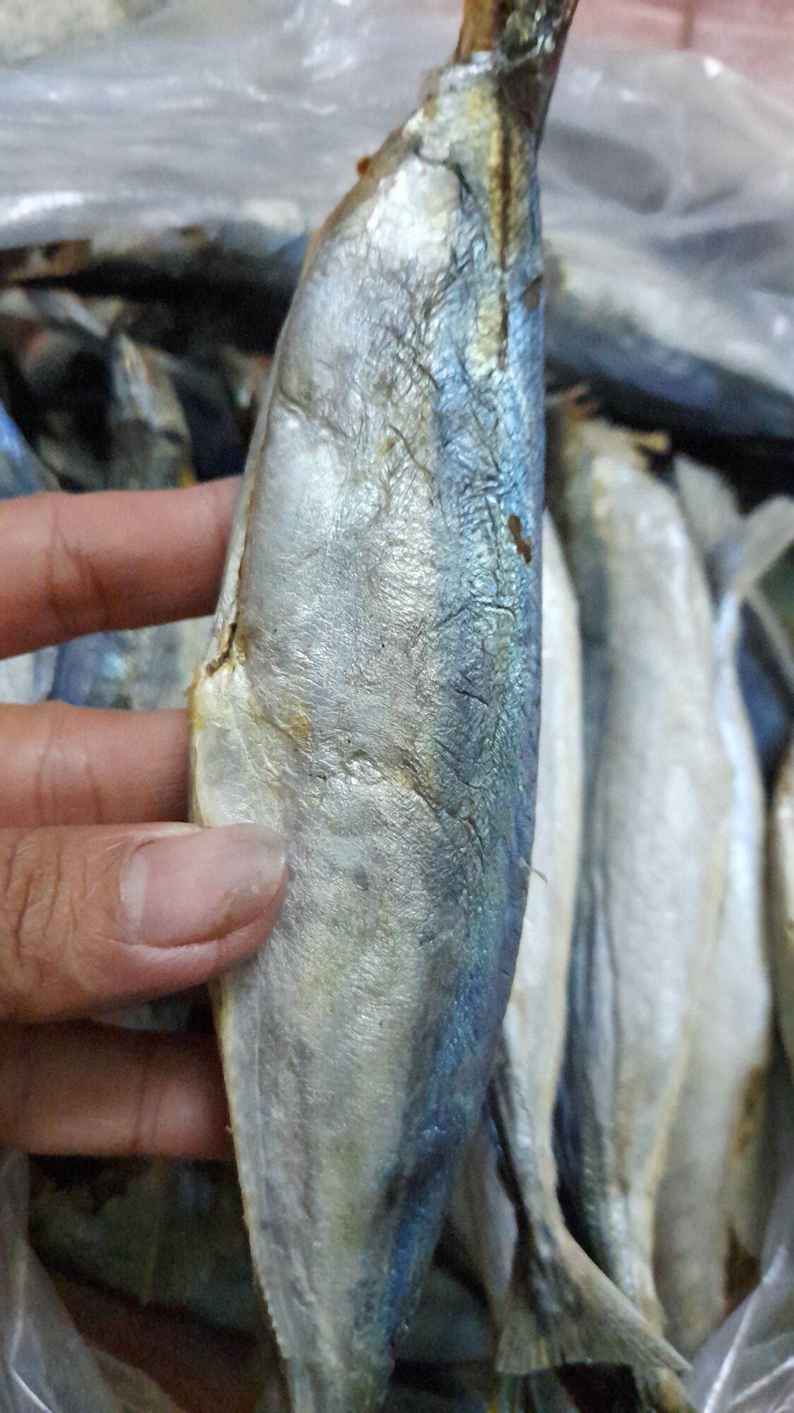 Khô cá nục 500gr