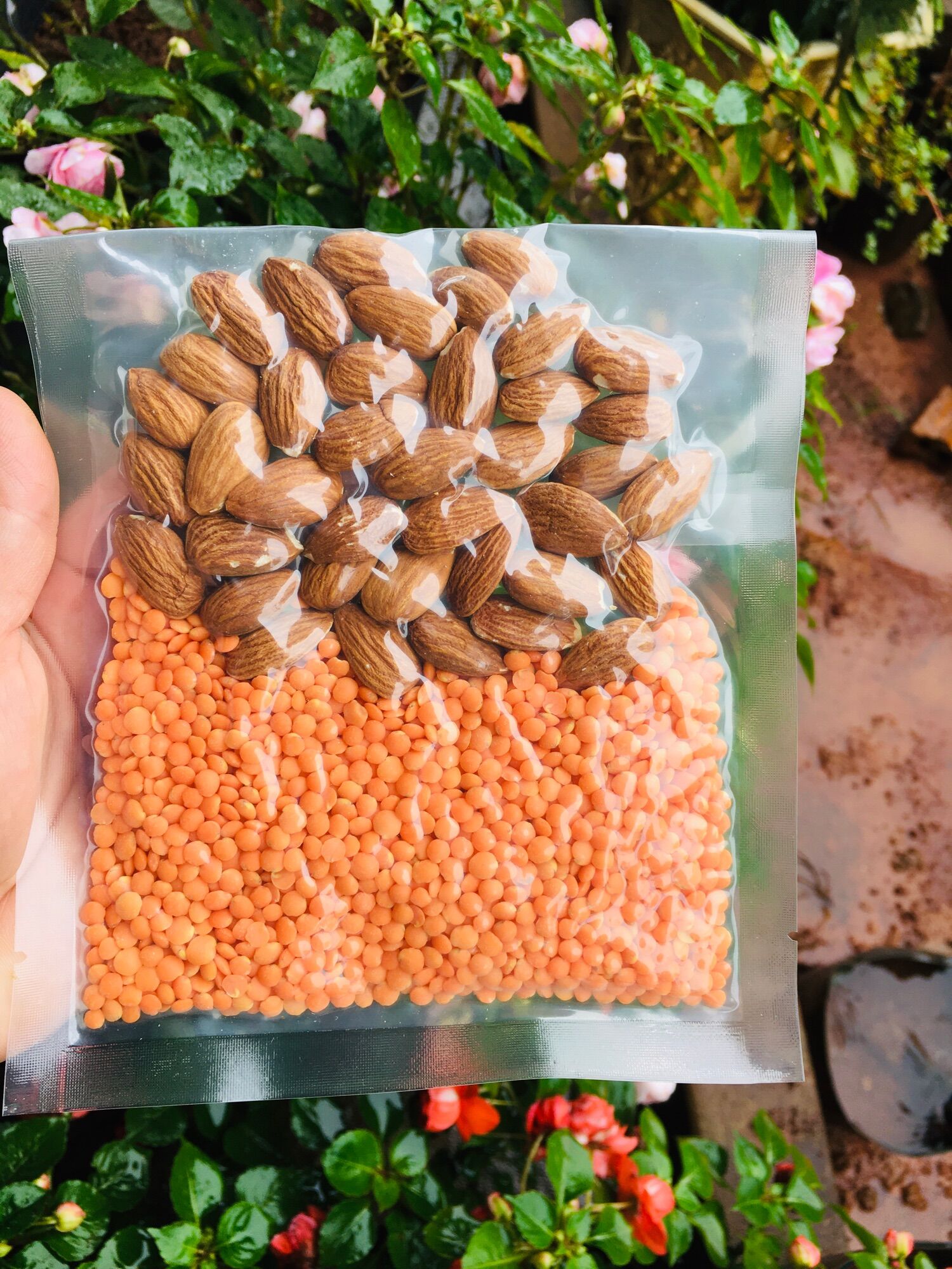 Sét 10 gói sữa hạt dinh dưỡng 100g/gói