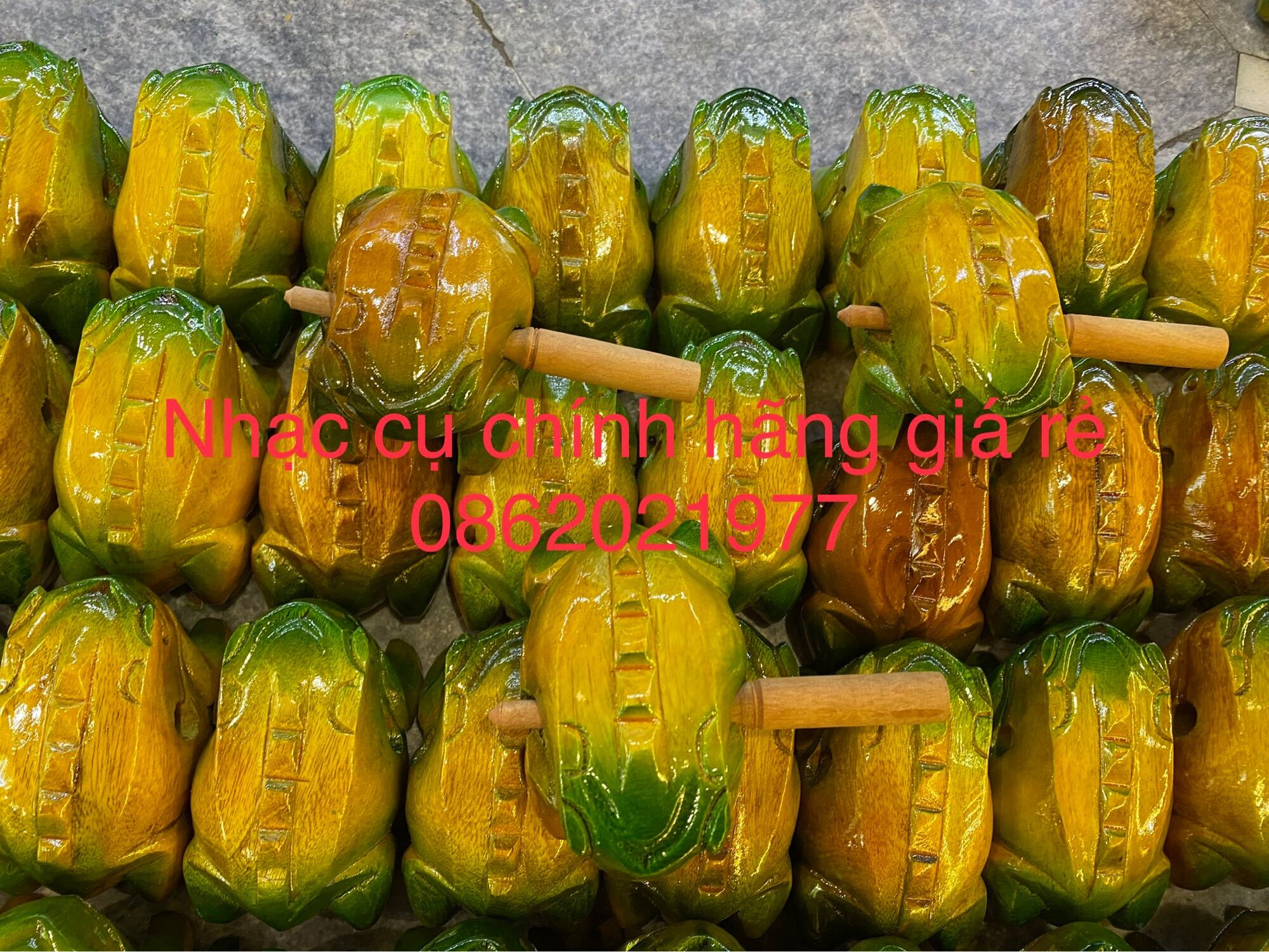 Mõ hình cóc / ếch
