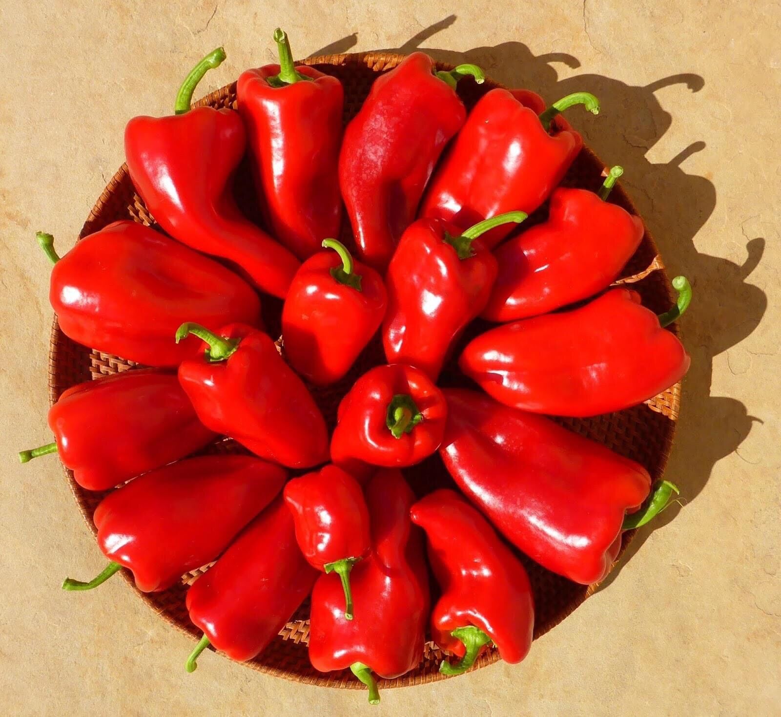 HẠT GIỐNG NHẬP KHẨU MỸ ỚT NGỌT KAPICHIA