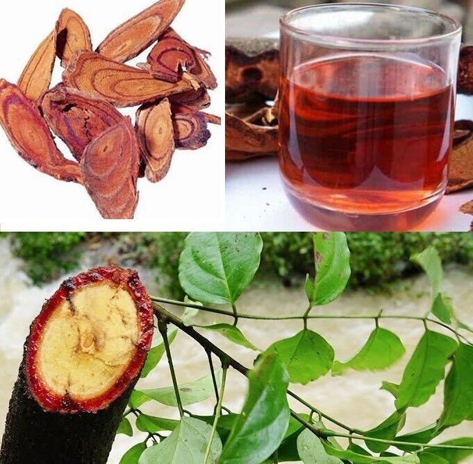 Kê huyết đằng 100gam