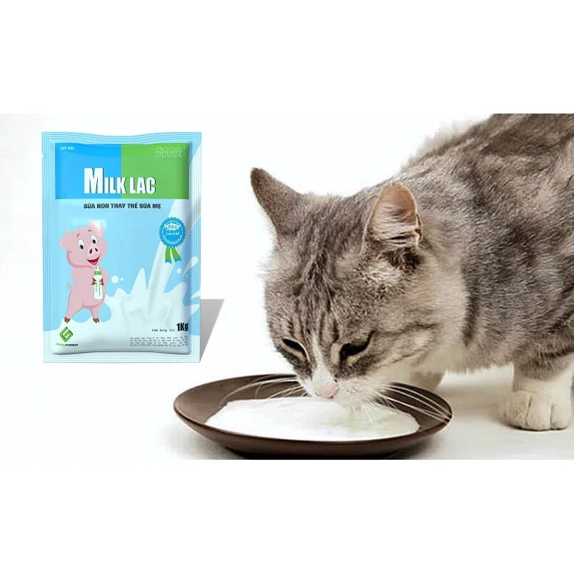 Milk Lac sữa bột cao cấp cho heo con