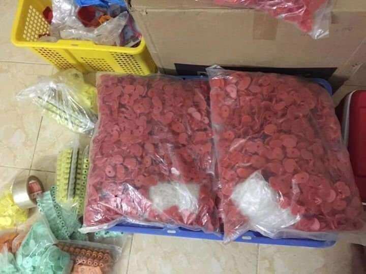 10 kính chống cắn mổ ở gà và chim trĩ