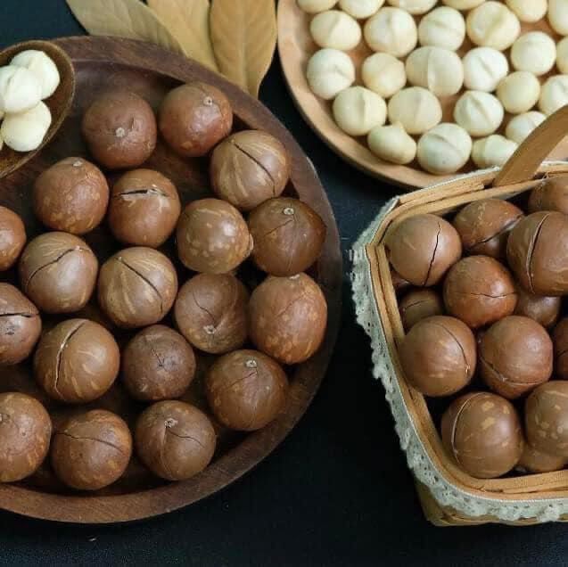 Hạt MACCA Mắc ca Lai Châu sấy lạnh size lớn  500g, 250g
