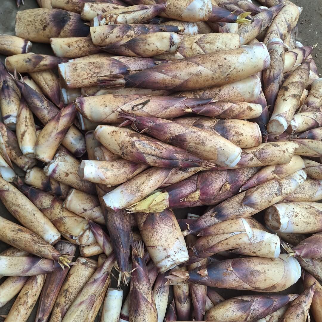 Măng vầu ngọt Tây Bắc 1kg
