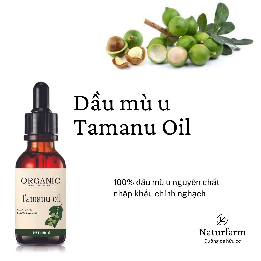 Dầu mù u nguyên chất hữu cơ ( tamanu oil ) 15ML