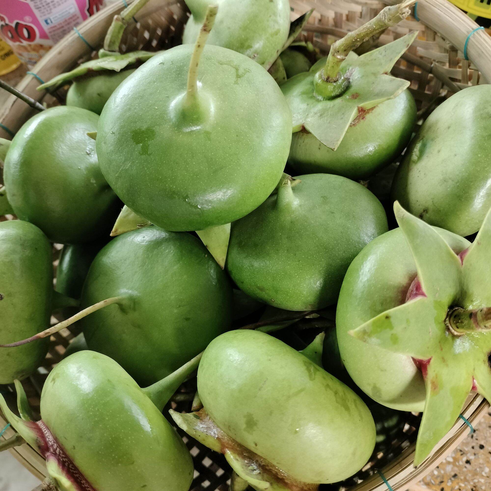 Hoa bần, rễ bần, trái bần sấy ( hái theo yêu cầu)