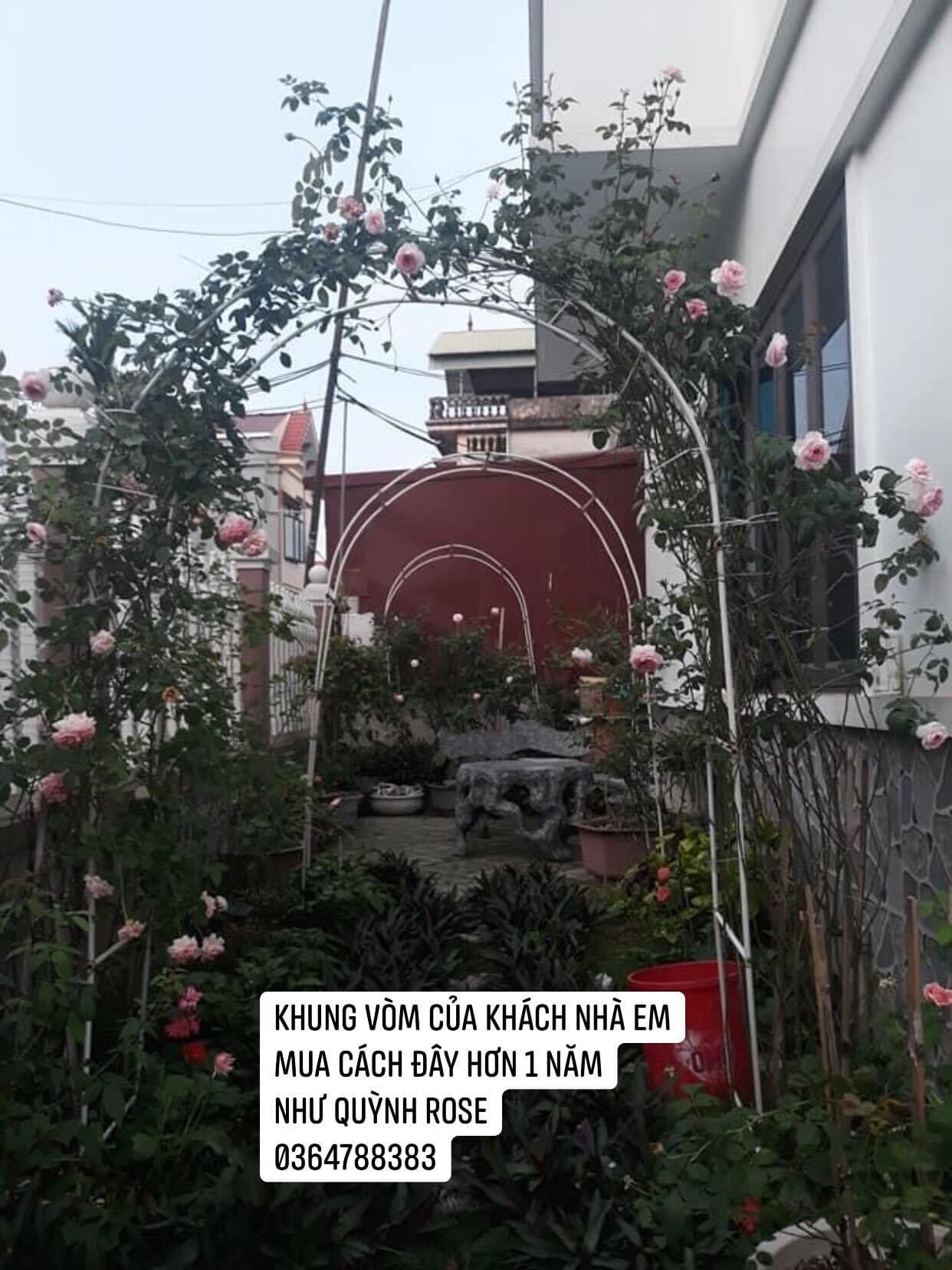Khung vòm cho hoa leo . Cao 2m4 rộng 1m4 , phi 13mm