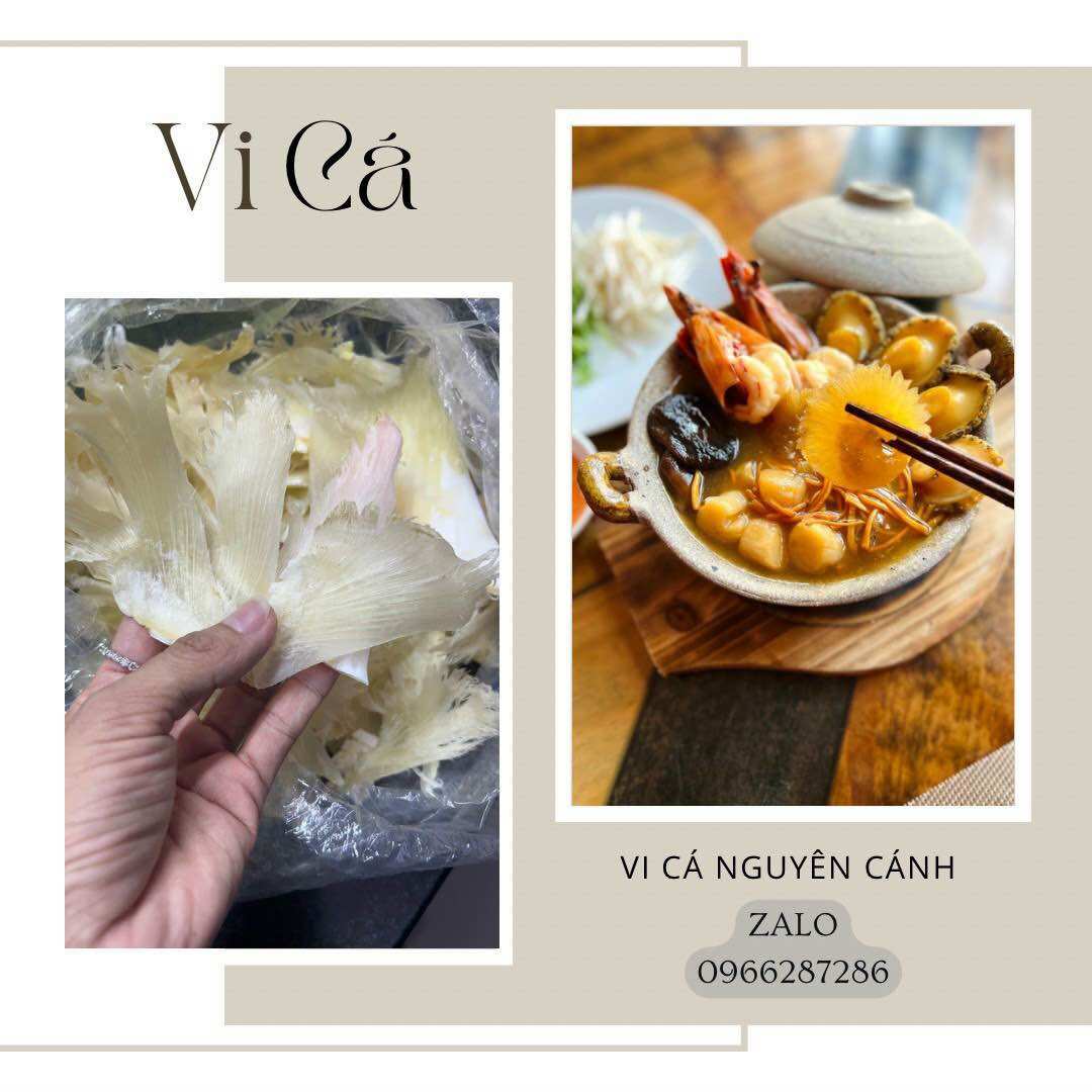 Vi cá cao cấp nấu súp nguyên cánh