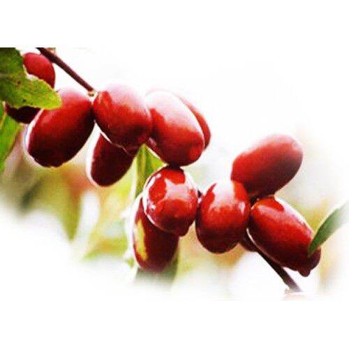 100g táo đỏ sấy khô