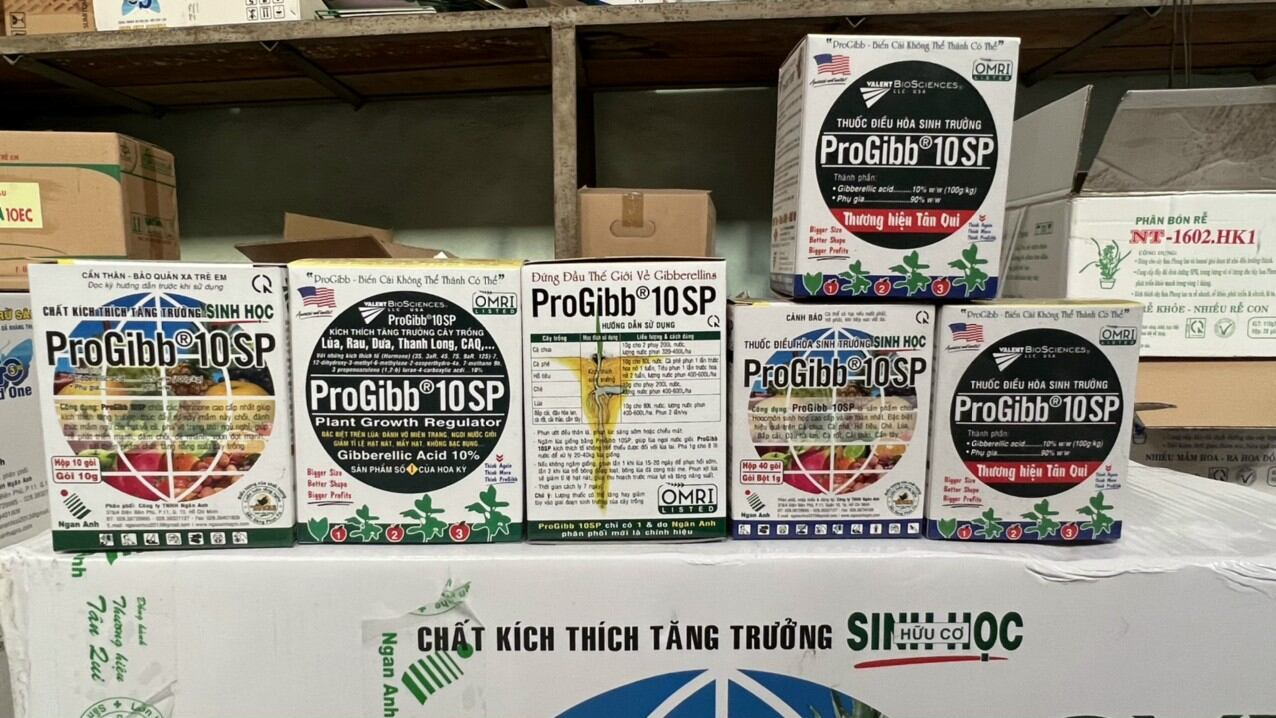 Progibb 10sp thuôc điều hòa sinh trưởng sinh học
