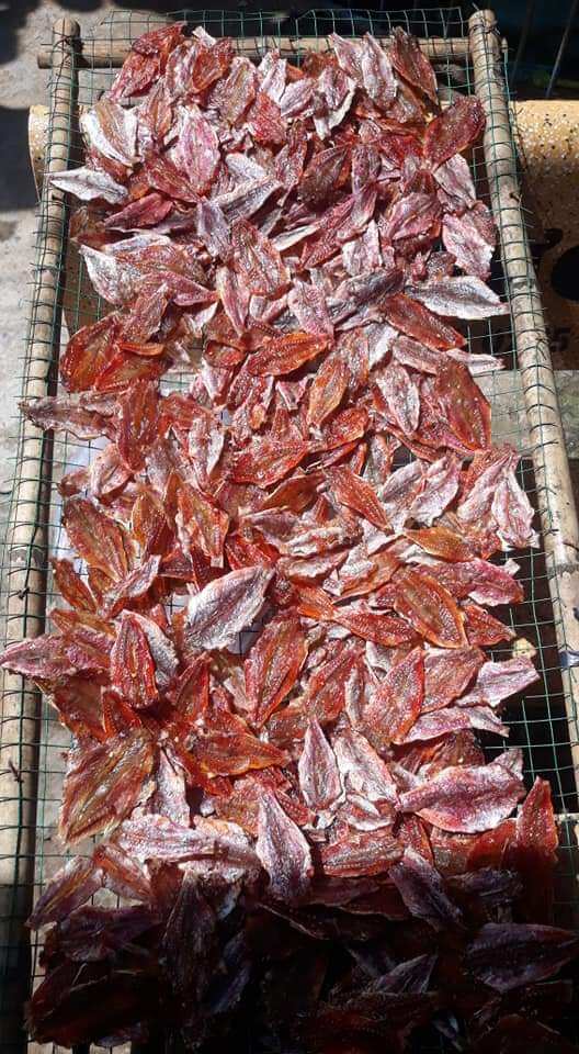 khô cá linh biển