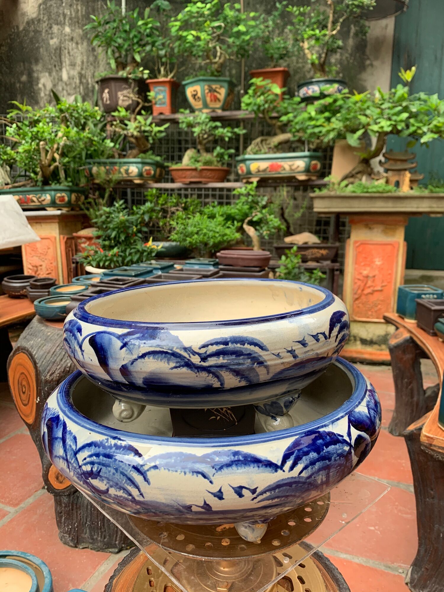 Chậu cảnh trồng cây bonsai