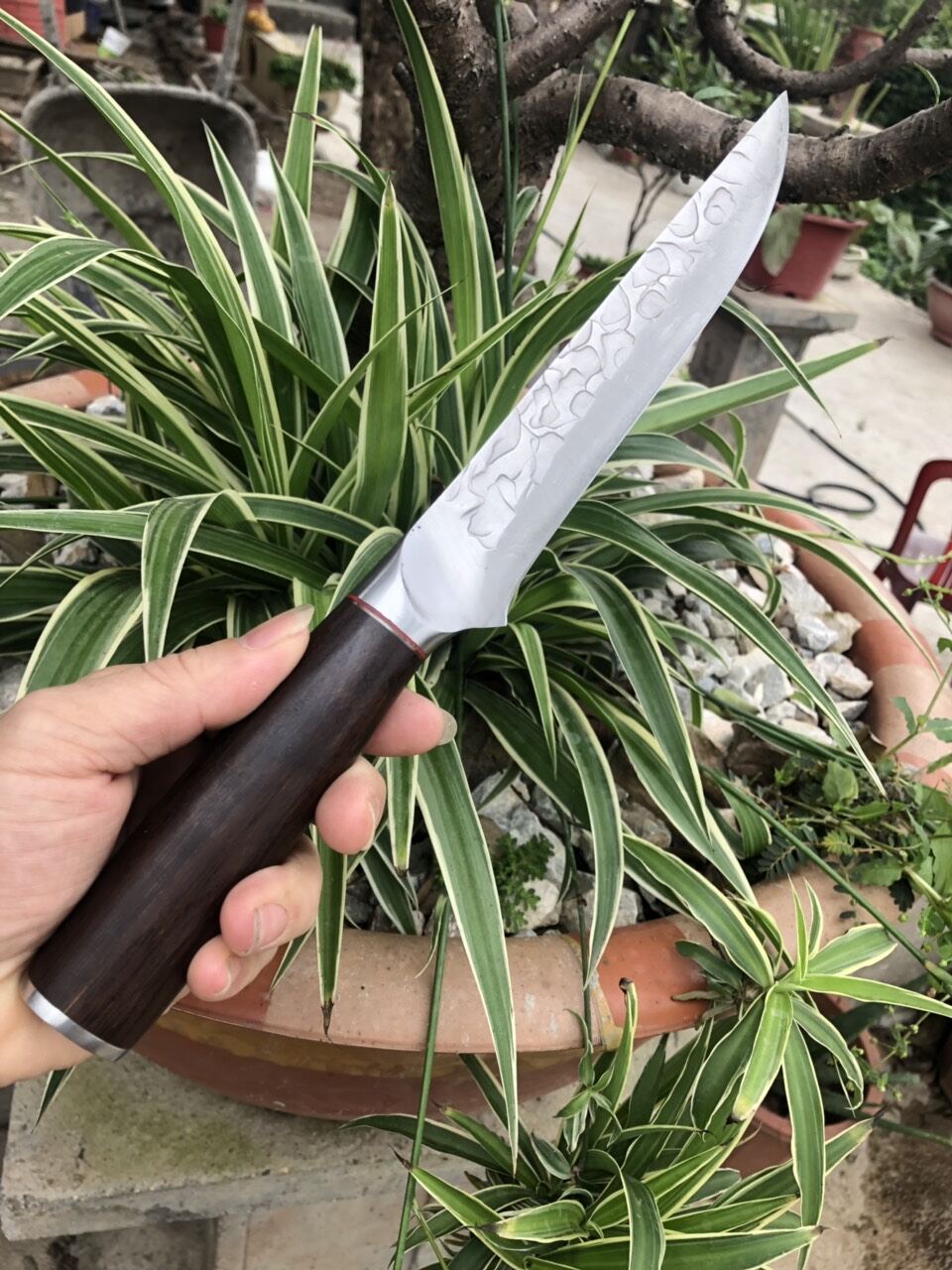 Cặp dao thái - lọc hàng Nhật bãi