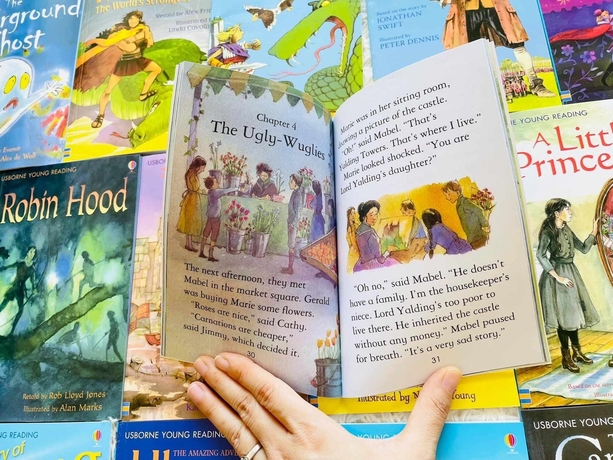 The Usborne Reading Collection (Purple box)