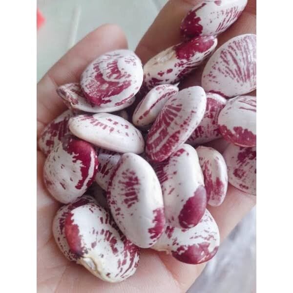 Đậu ngự 500g
