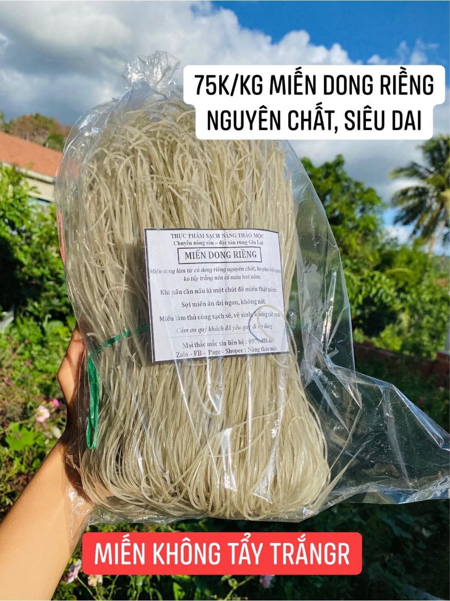 Miến dong riềng