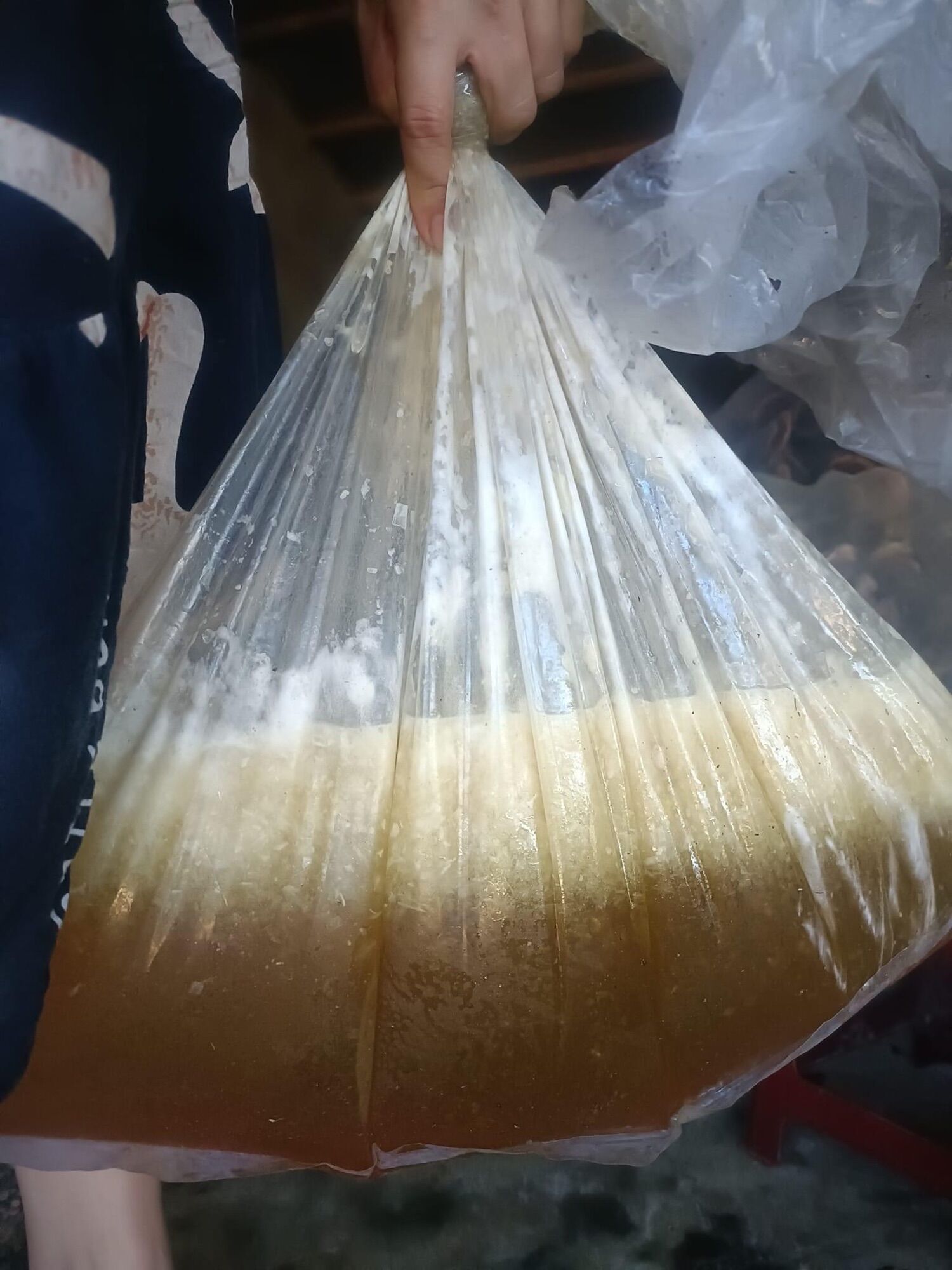 Mật ong rừng nguyên chất