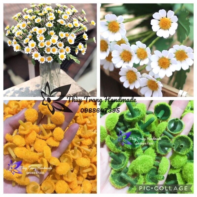 Gói 20 nhuỵ hoa cúc lông vàng