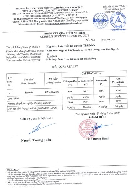 TRÀ NÕN TÔM THÁI NGUYÊN - TRÀ THÁI NINH