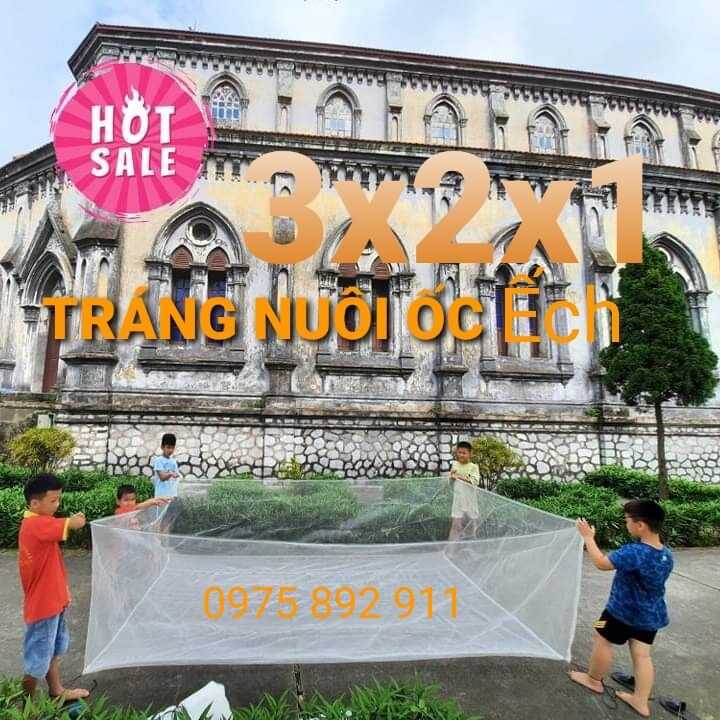 Tráng lồng vèo ươm ốc mới nở 3x2x1 ( loại 2li )