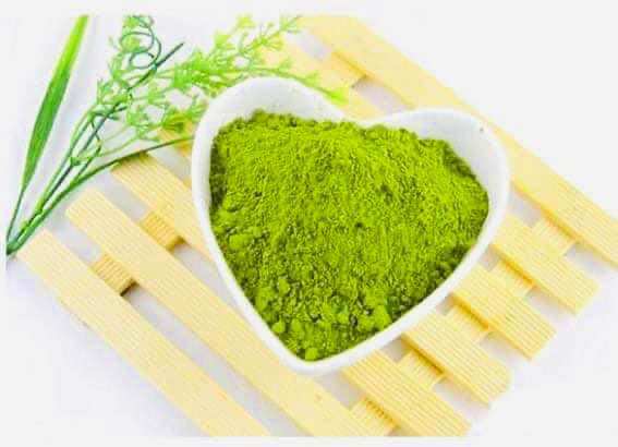 Bột lá tía tô sấy lạnh