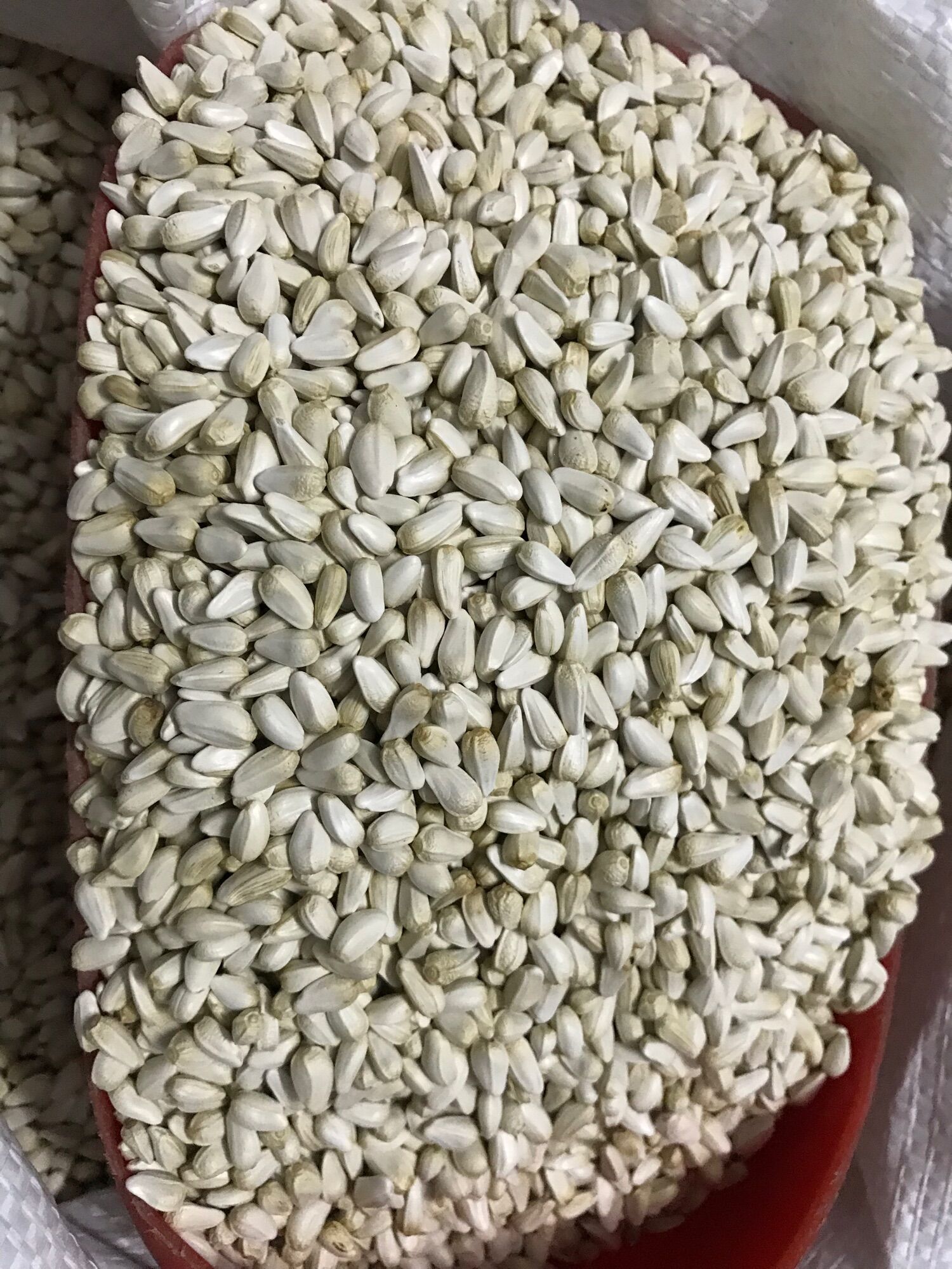 [HCM]HẠT KHAM GÓI 1KG-THỨC ĂN DÀNH CHO VẸTHAMSTERSÓCBỌ Ú…