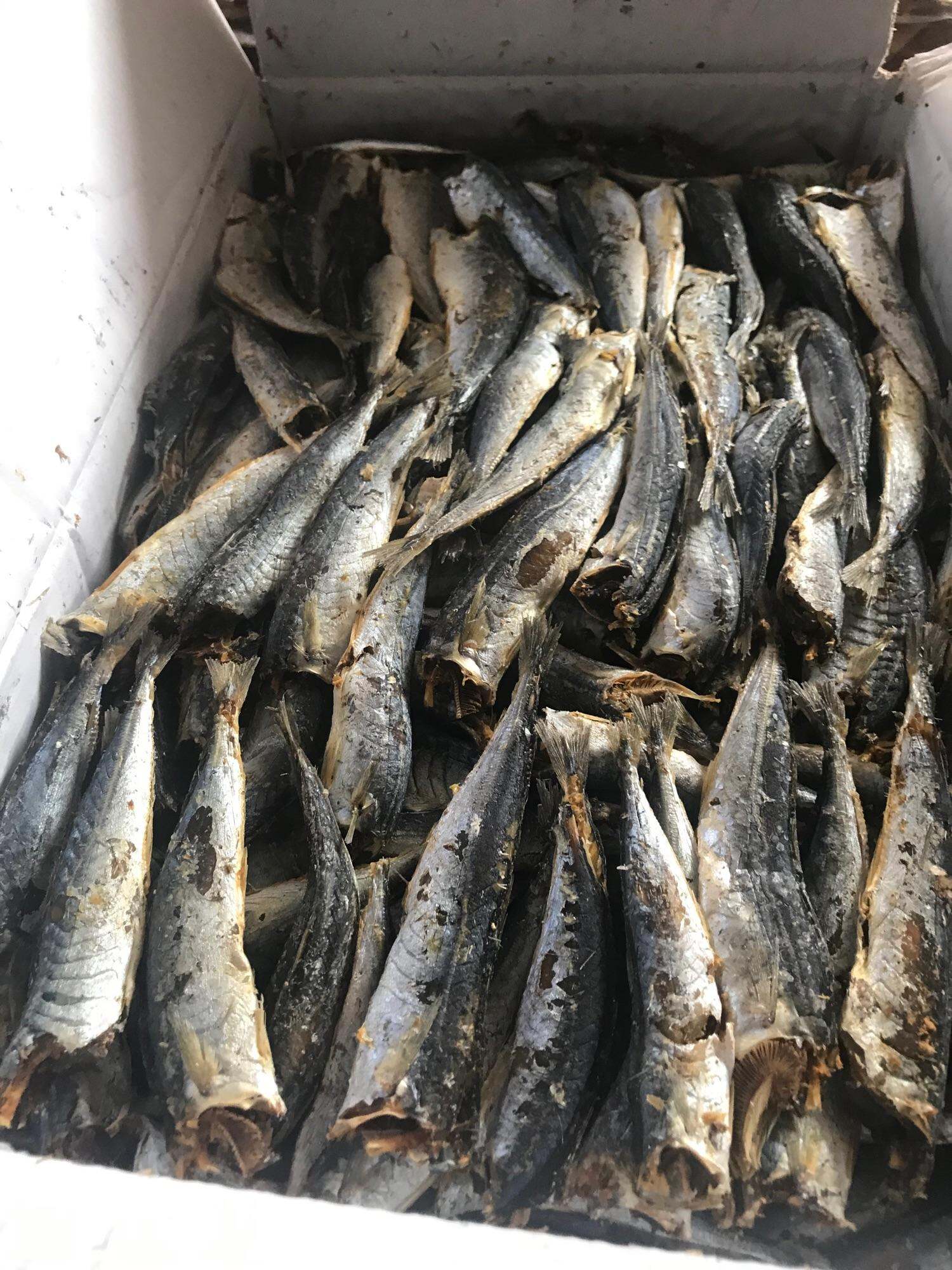 2kg cá nục hấp khô ngon