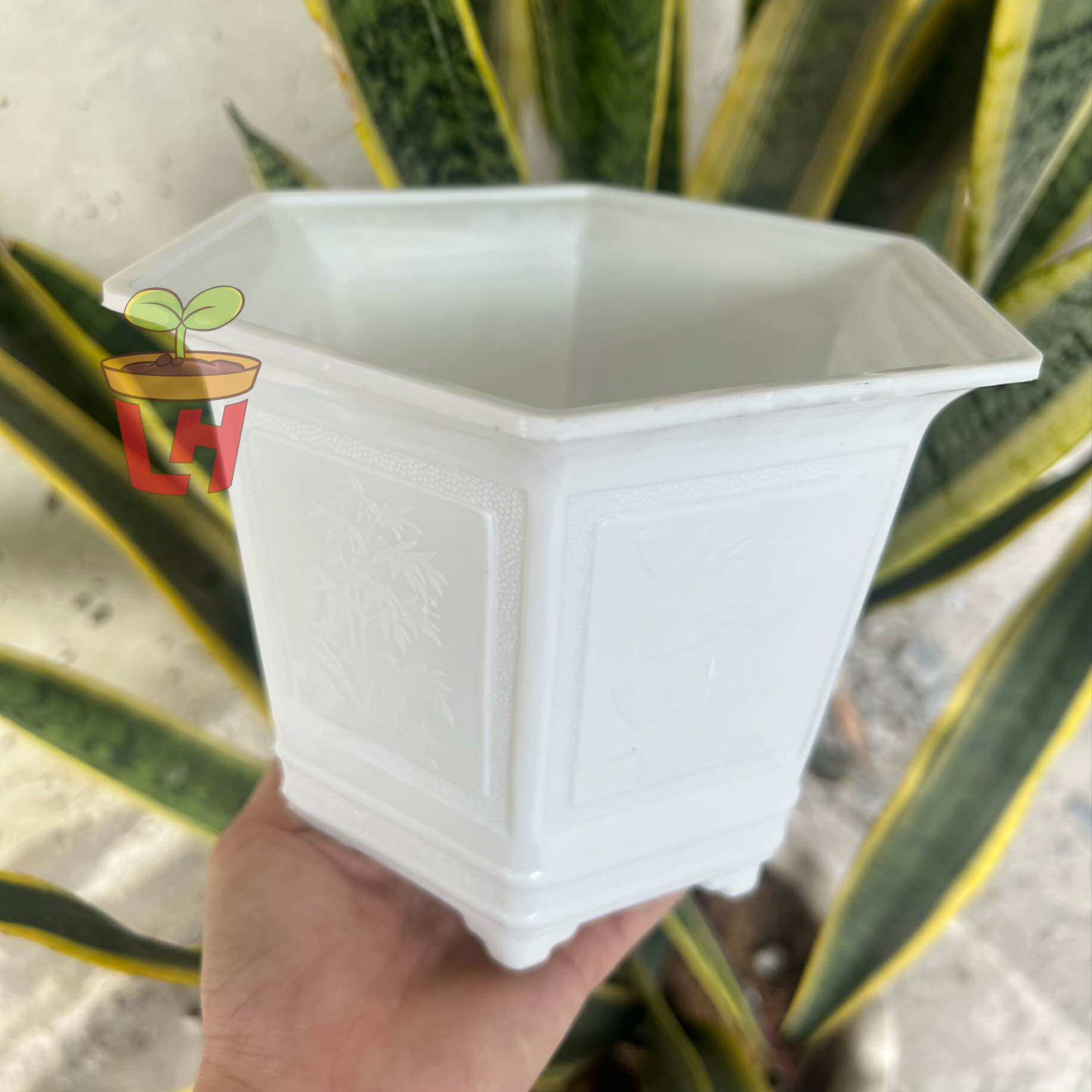 Chậu nhựa trồng cây chậu trồng sen đá, xương rồng, bon sai mini