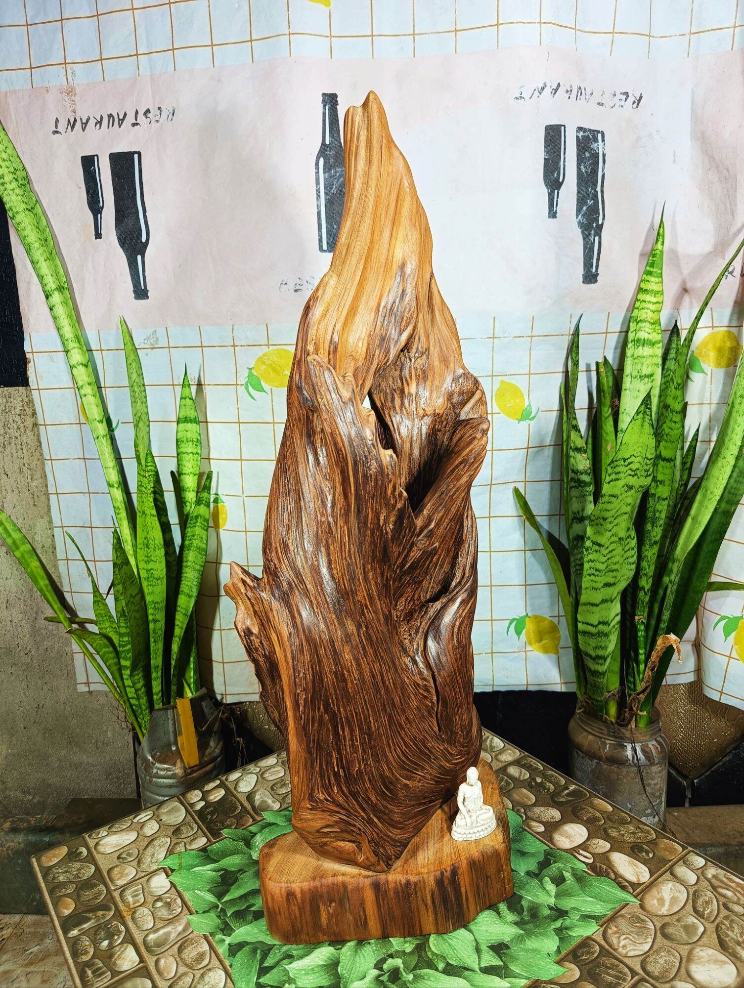 lũa ngọc am đỏ hà giang, chơi được nhiều thế