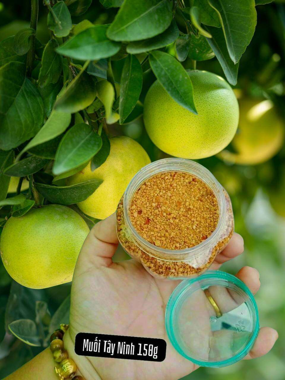 MUỐI TÂY NINH HỦ 150G “ĂN LÀ THÍCH, CHẤM LÀ MÊ "