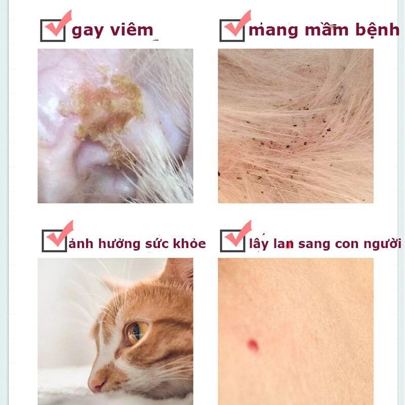 Vòng trị ve rận chó mèo, vòng đeo cổ trị rận