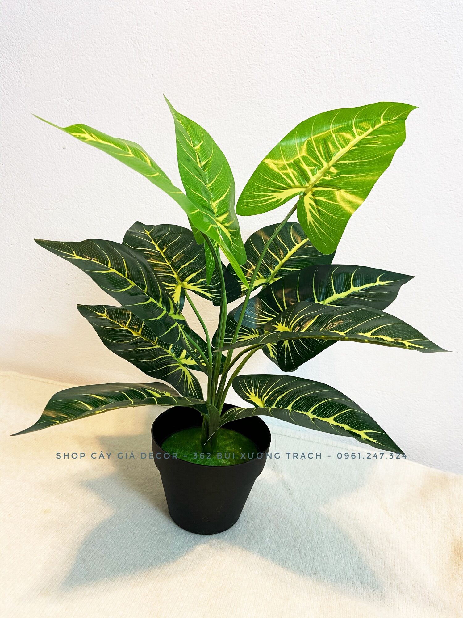 Cây giả - trầu bà sọc 40cm