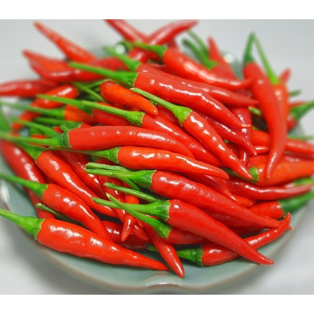 Hạt giống ớt chỉ thiên siêu cay