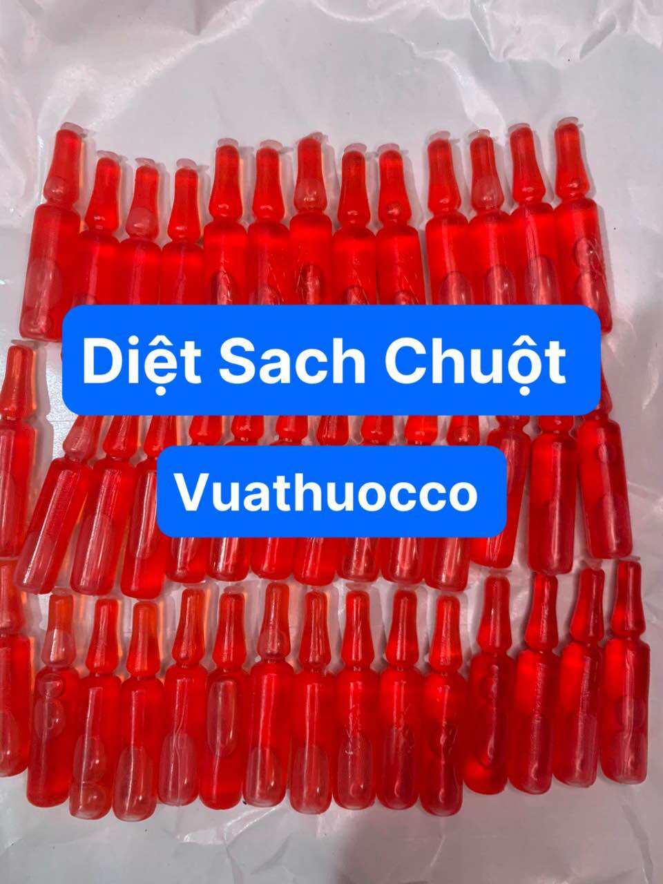 Thuốc chuột ống diệt chuột