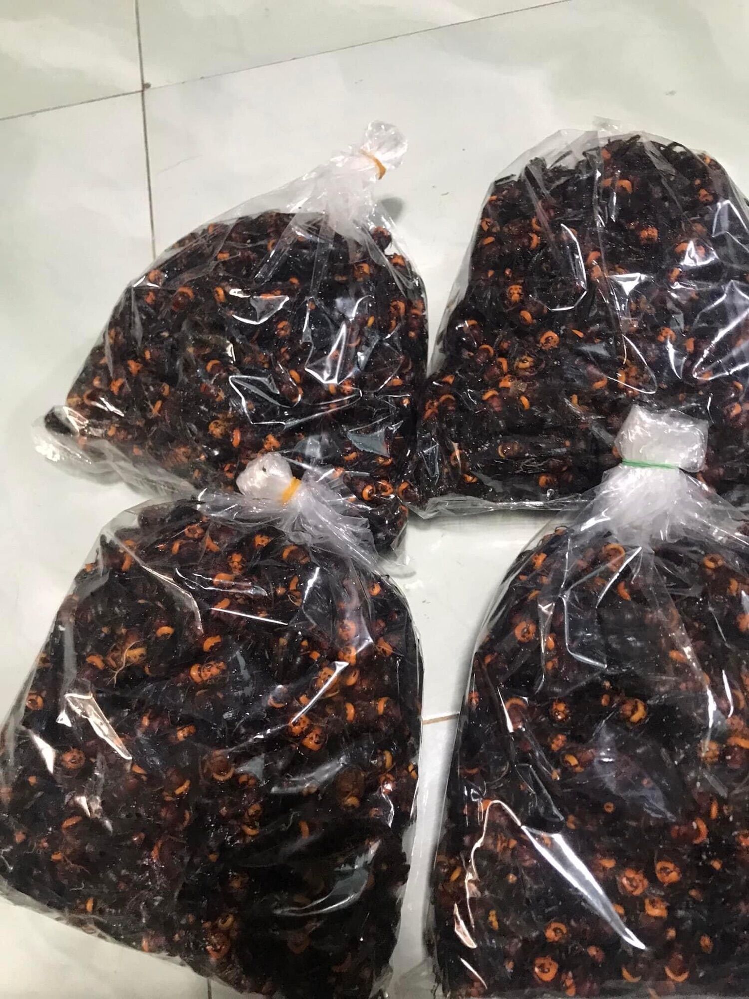 Ong đất ngâm r…ư…ợ…u( túi 1kg 500k/kg