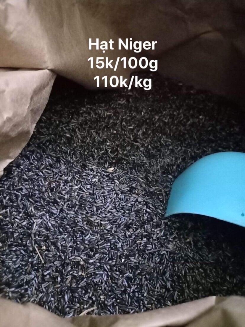 Hạt Niger kích cồ chim vẹt 100g.