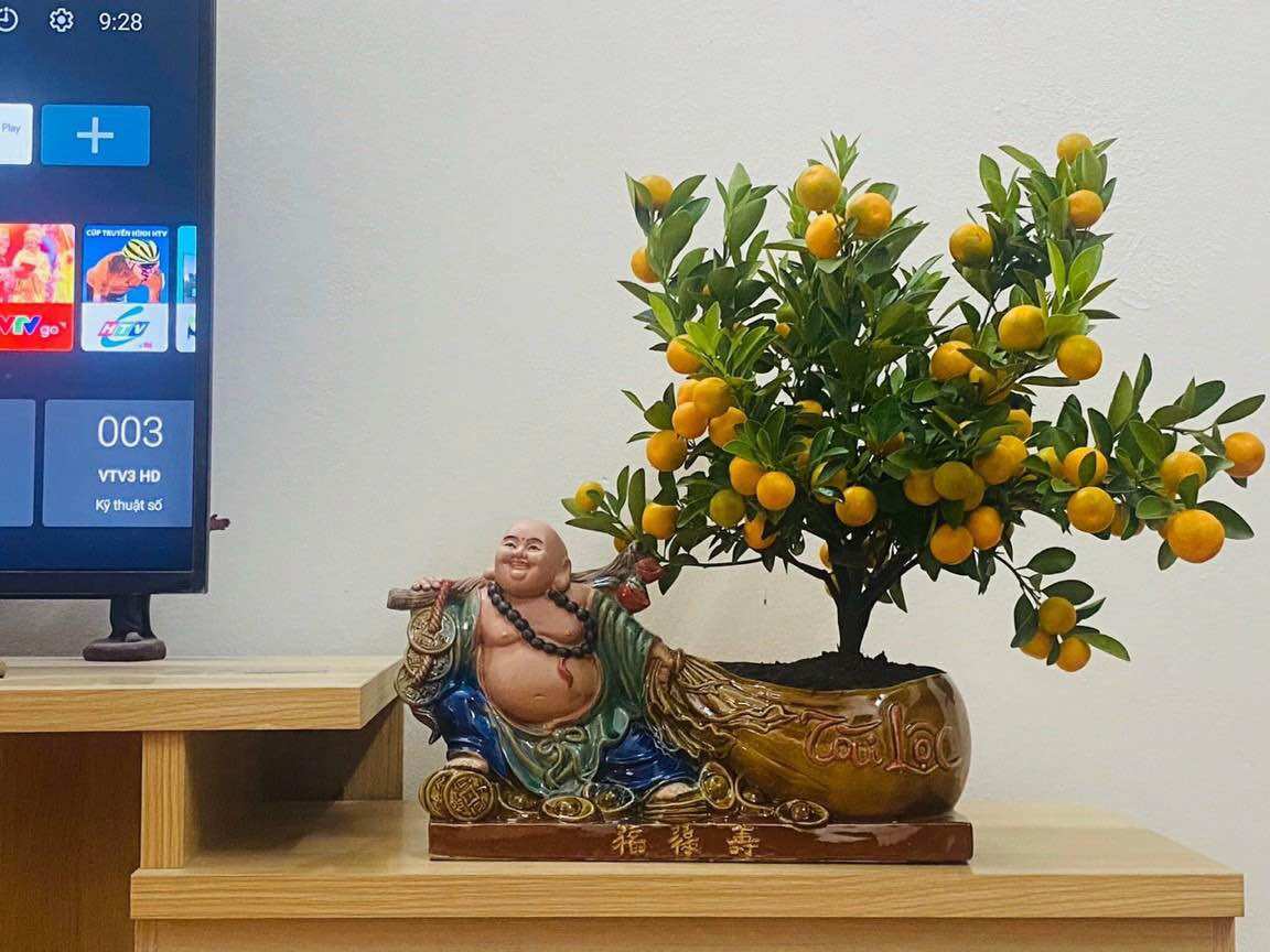 Chậu tượng Di Lặc kéo túi tài lộc trồng cây bonsai để bàn trà BT016