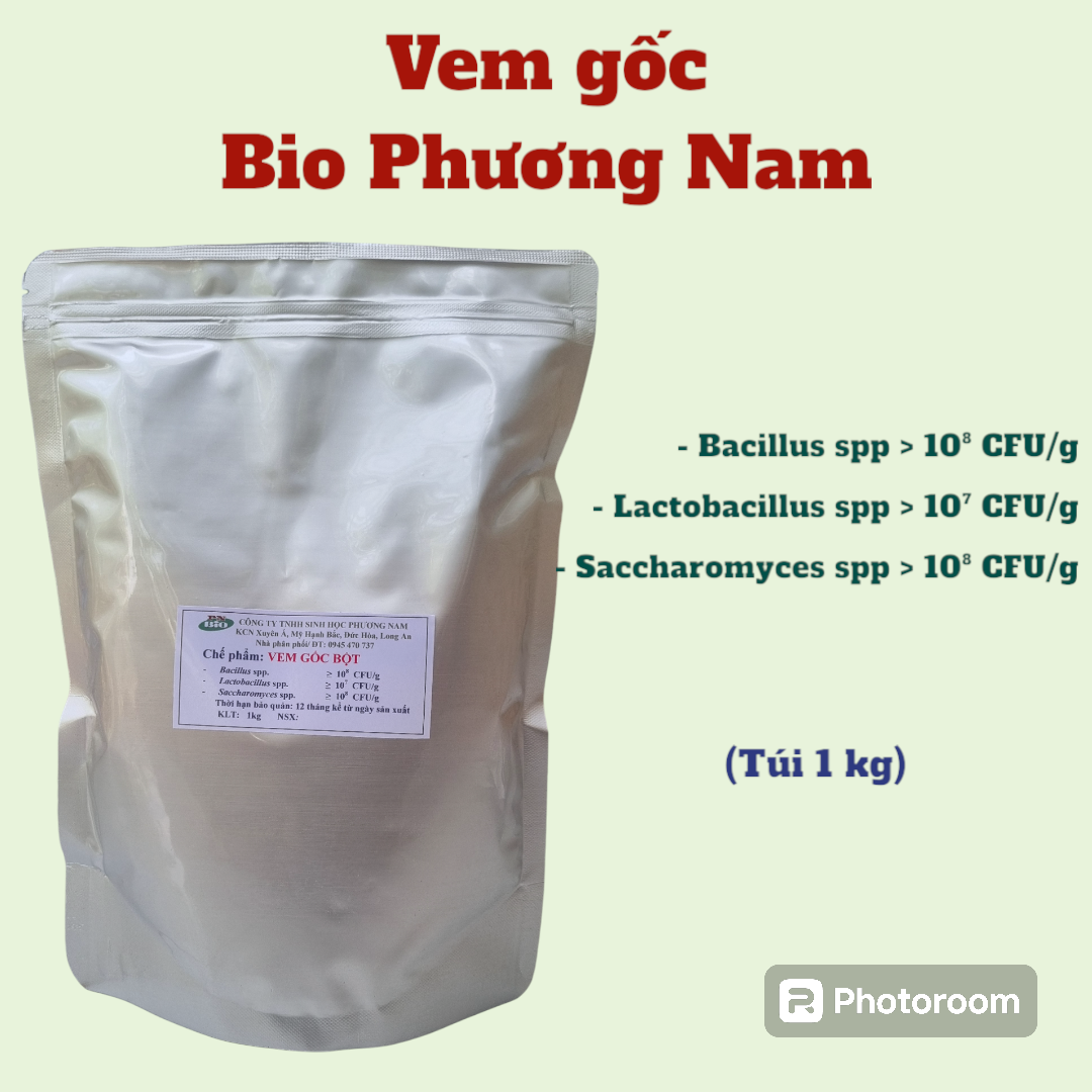Men vi sinh ủ đạm cá (nữa ký Men Phương Nam + nữa ký Enzyme Protease)
