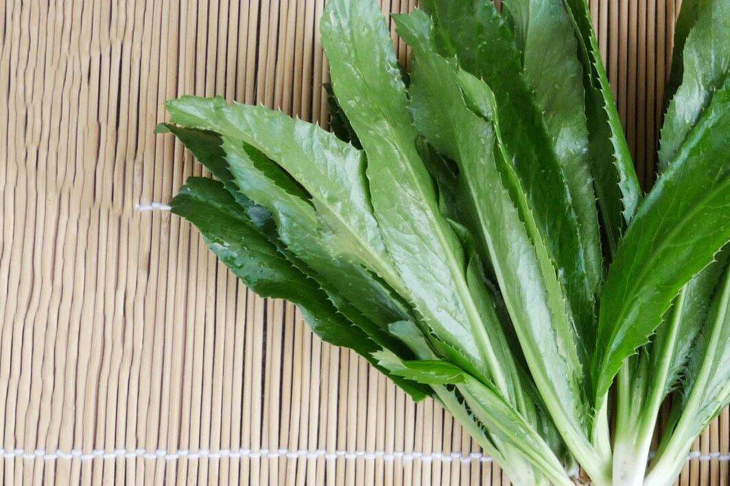 Hạt rau ngò gai 5gr