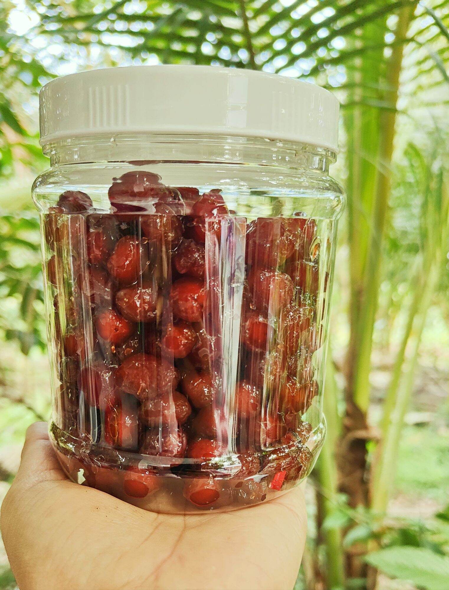Mứt chùm ruột nhà làm hộp 500g