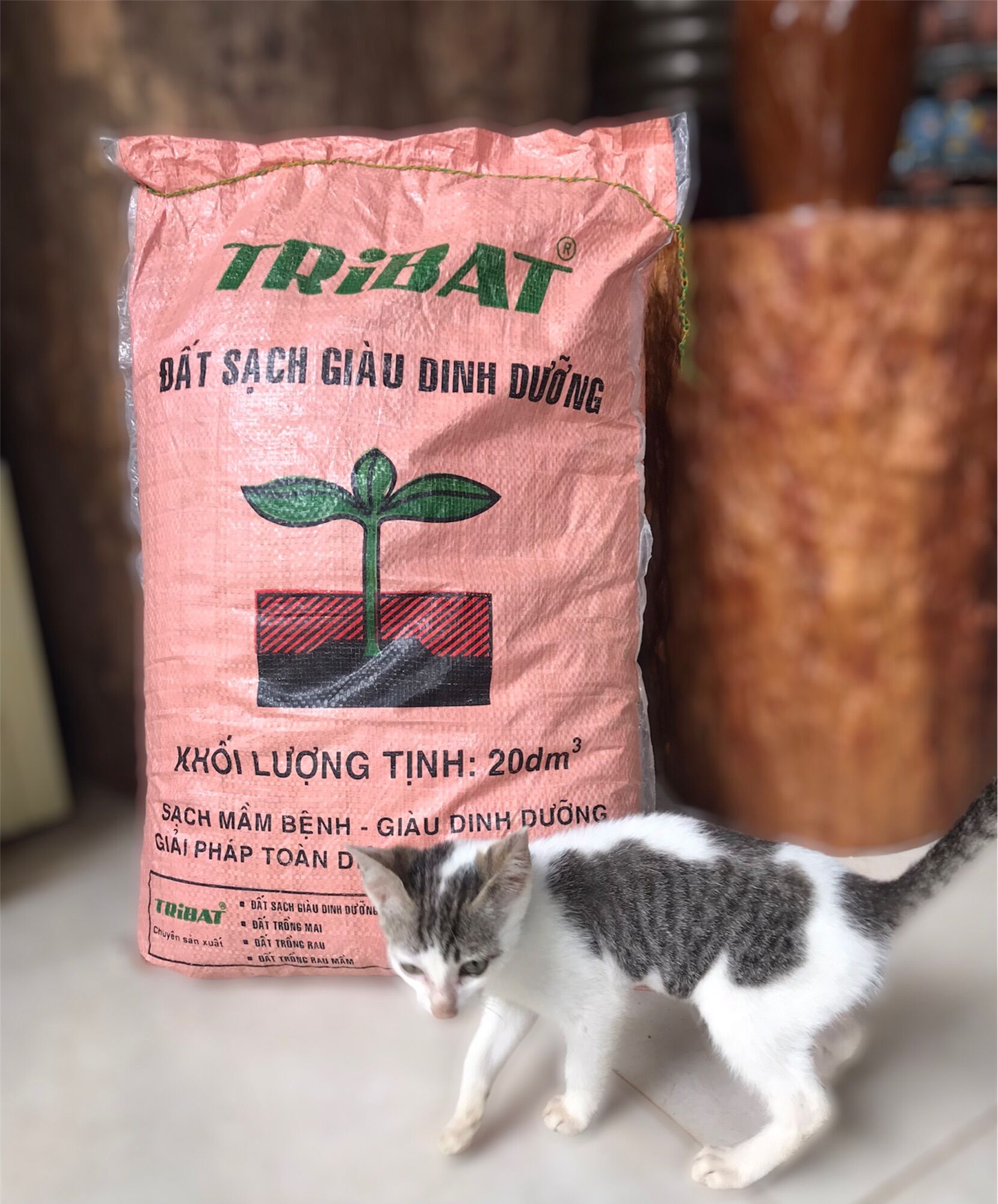 Đất sạch trồng cây Tribat