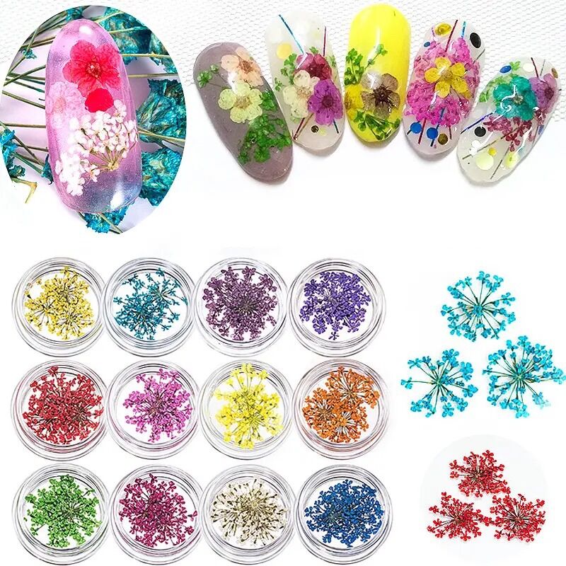 Set hoa khô chùm trang trí nail 12 màu