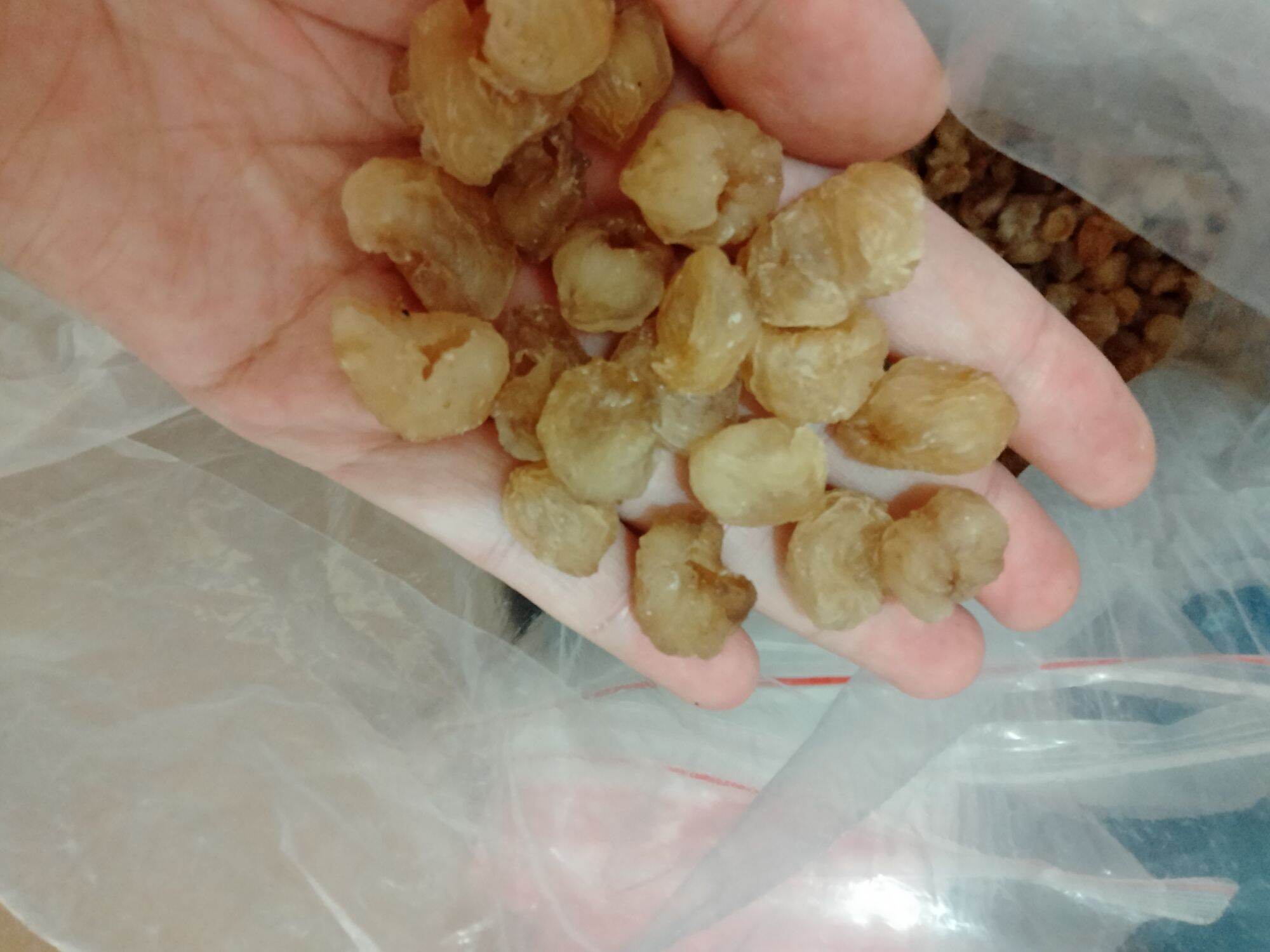 Long Nhãn hưng yên 1kg