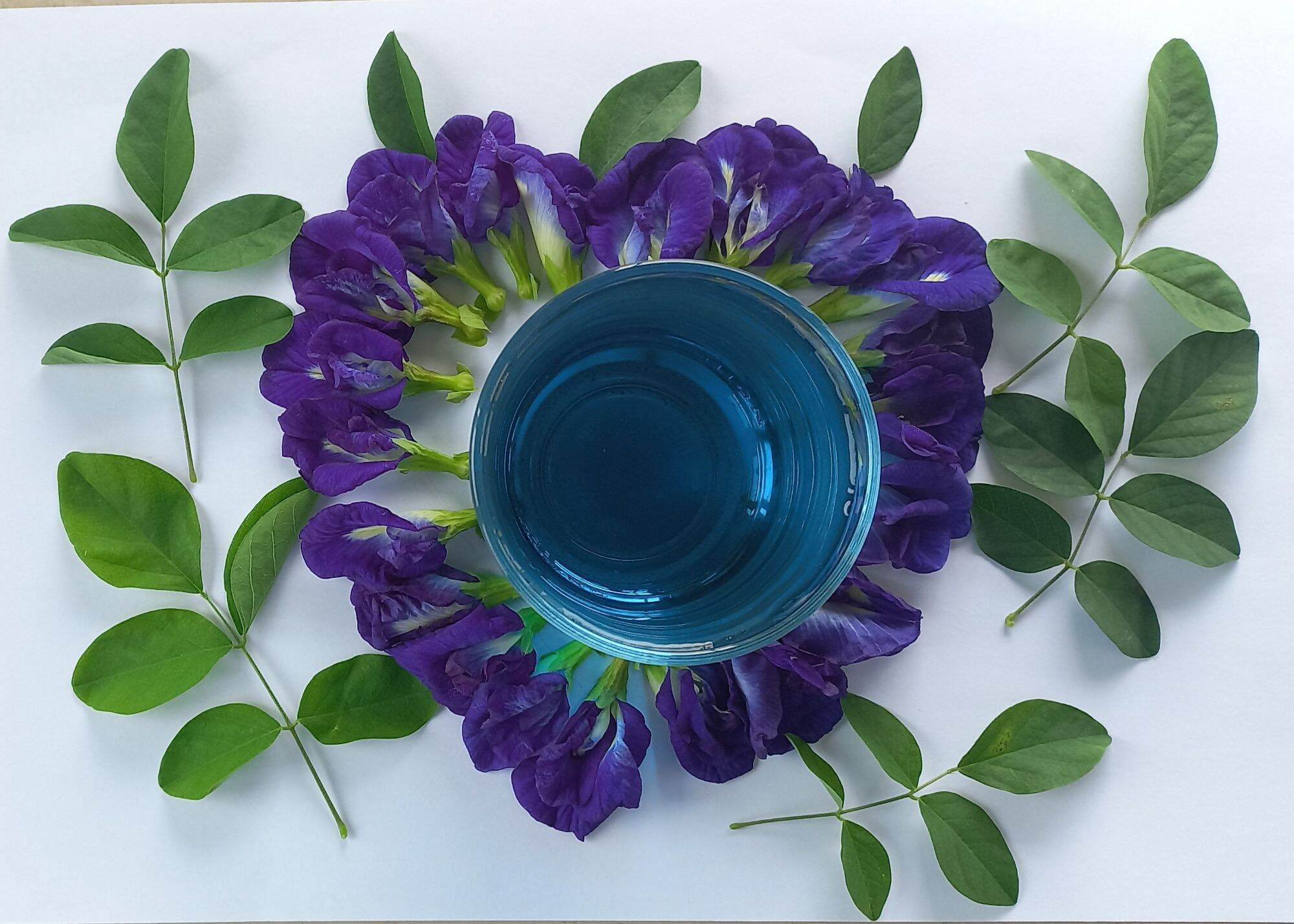 Hoa Đậu Biếc Khô ,Gói 100g .