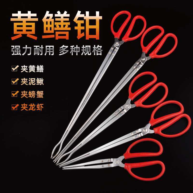 Kẹp Lốp Xe Đạp Kẹp Lốp Xe Đạp Kẹp Lốp Xe Đạp Xe Đạp Xe Đạp Xe Đạp Xe Đạp Xe Đạp Xe Đạp Xe Đạp Xe Đạp Xe Đạp Xe Đạp Xe Đạp Xe Đạp Xe Đạp Xe Đạp Xe Đạp Xe Đạp Xe Đạp Xe Đạp Xe Đạp Xe Đạp Xe Đạp Xe Đạp Xe Đạp Xe Đạp Xe Đạp Xe Đạp Xe Đạp Xe Đạp